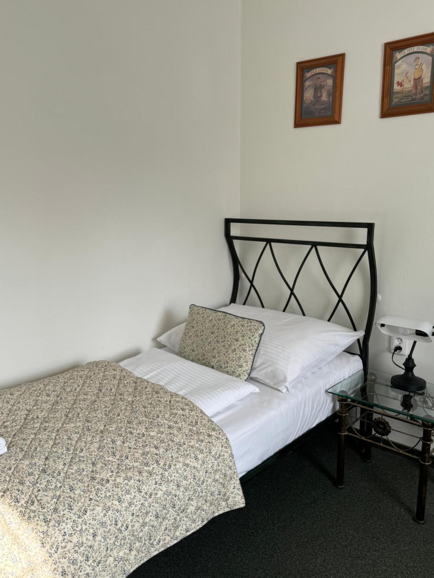 Pension U Draka Karlovy Vary Ngoại thất bức ảnh
