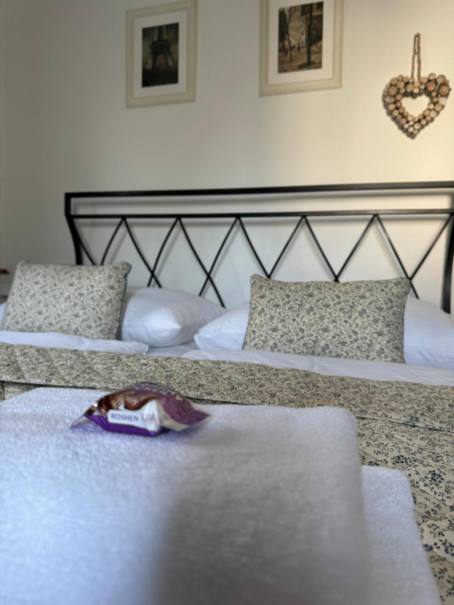 Pension U Draka Karlovy Vary Ngoại thất bức ảnh