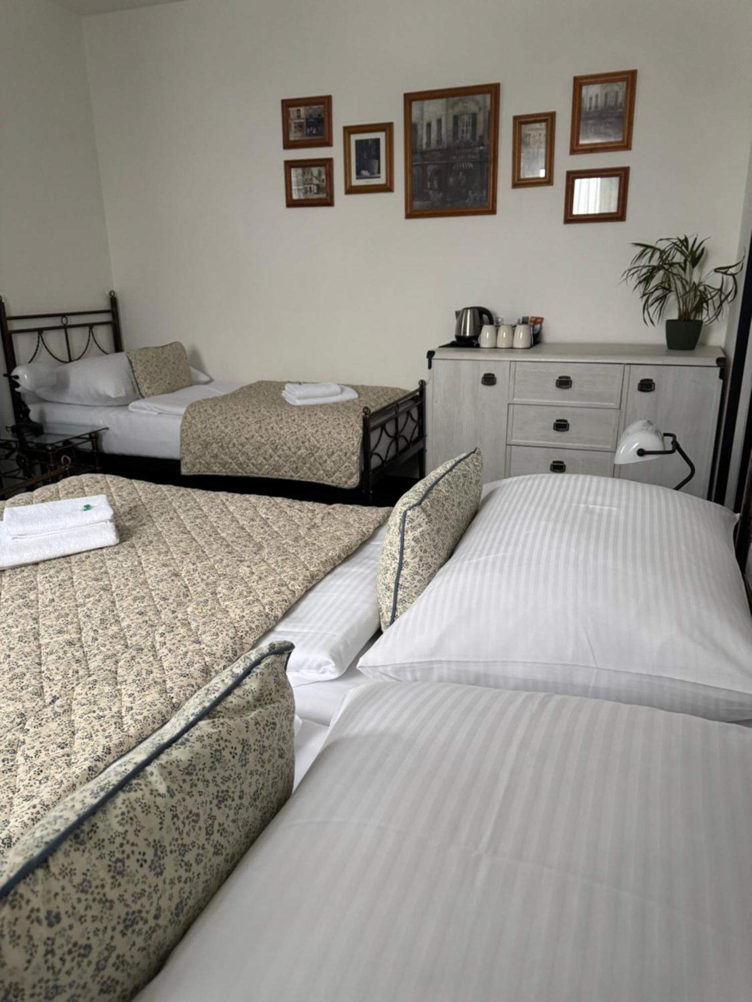 Pension U Draka Karlovy Vary Ngoại thất bức ảnh